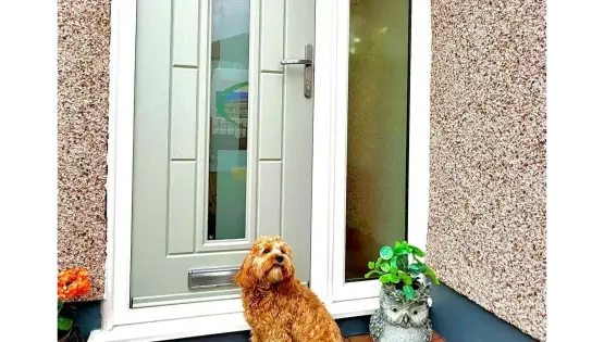 Pet dog at Vermont front door